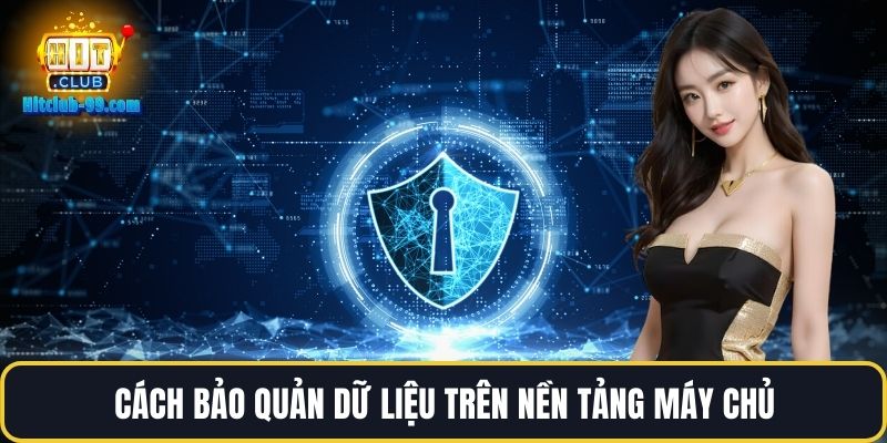 Cách bảo quản dữ liệu trên nền tảng máy chủ