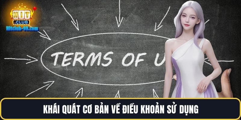 Khái quát cơ bản về điều khoản sử dụng