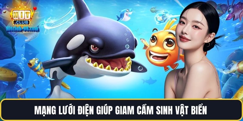 Mạng lưới điện giúp giam cầm sinh vật biển