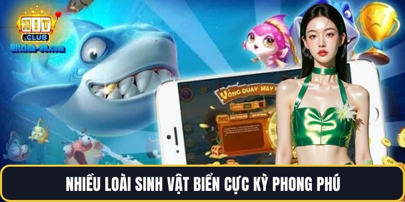 Nhiều loài sinh vật biển cực kỳ phong phú