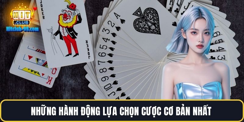 Những hành động lựa chọn cược cơ bản nhất