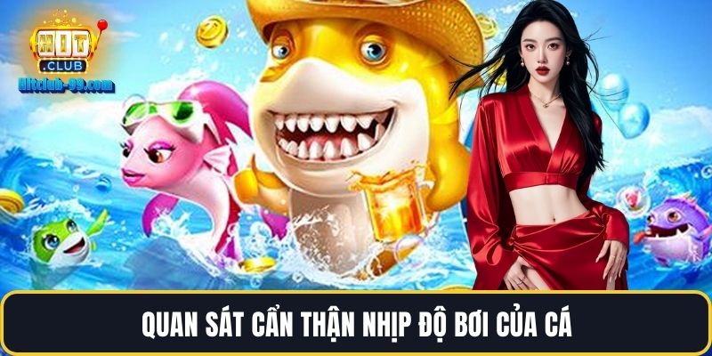 Quan sát cẩn thận nhịp độ bơi của cá