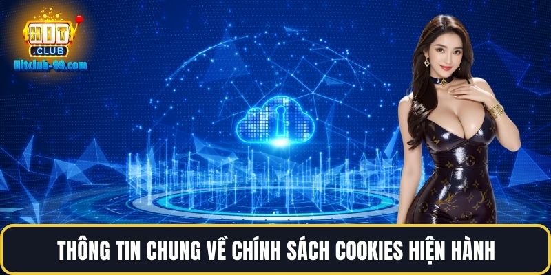 Thông tin chung về chính sách cookies hiện hành