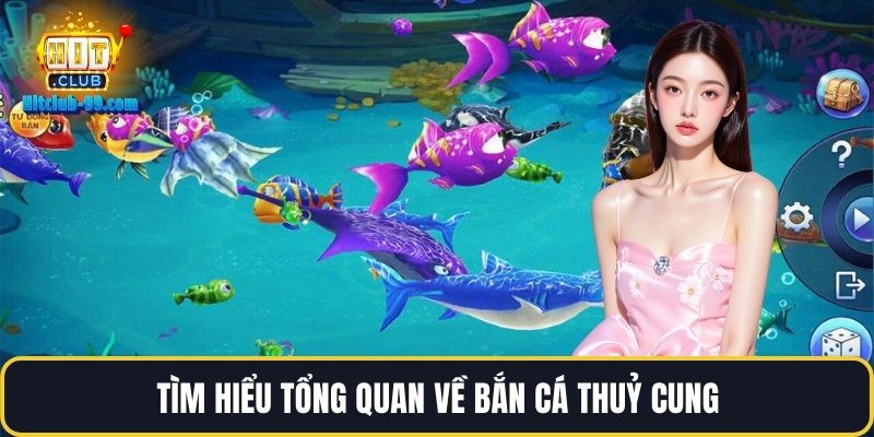Tìm hiểu tổng quan về bắn cá thuỷ cung